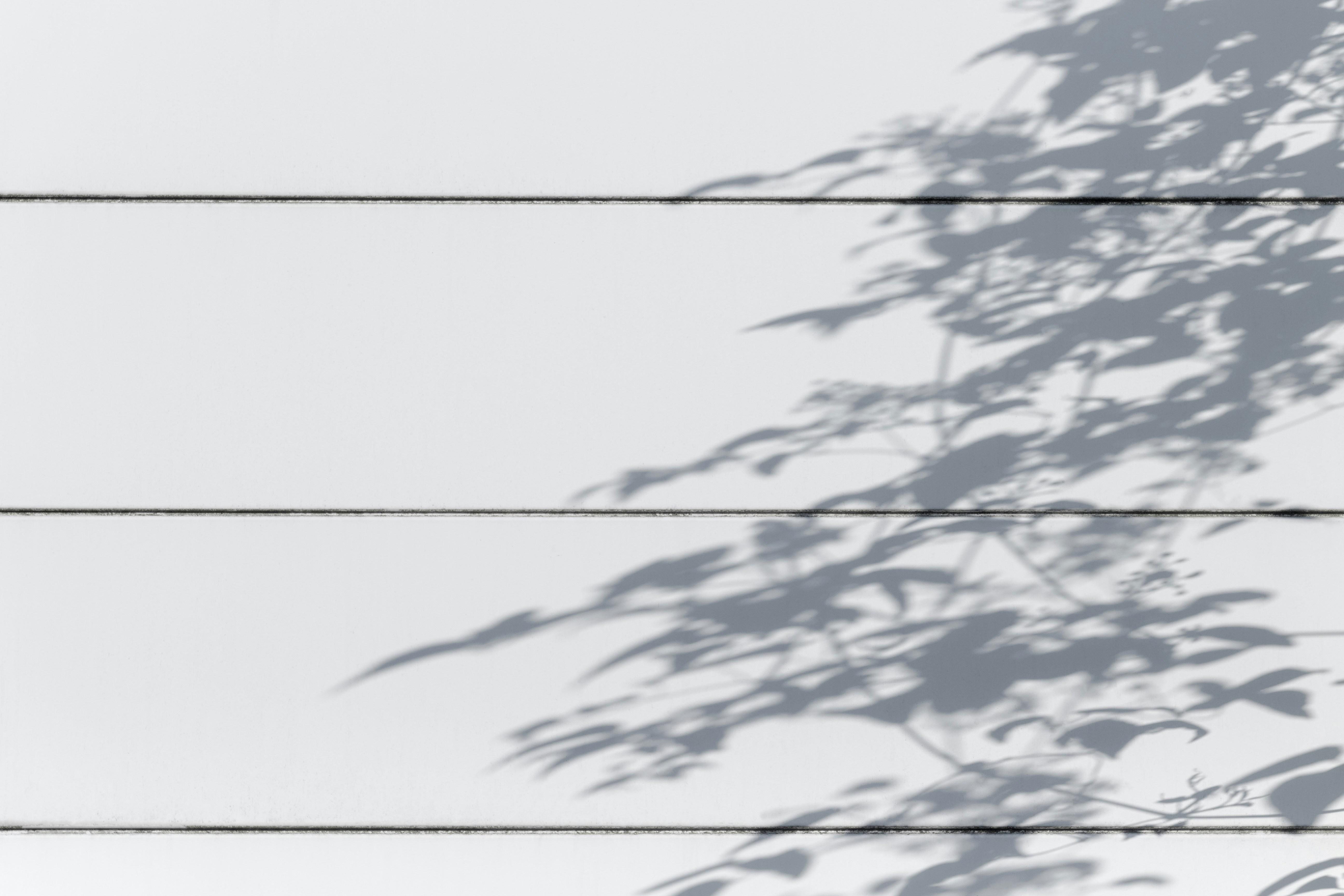 Quels sont les types