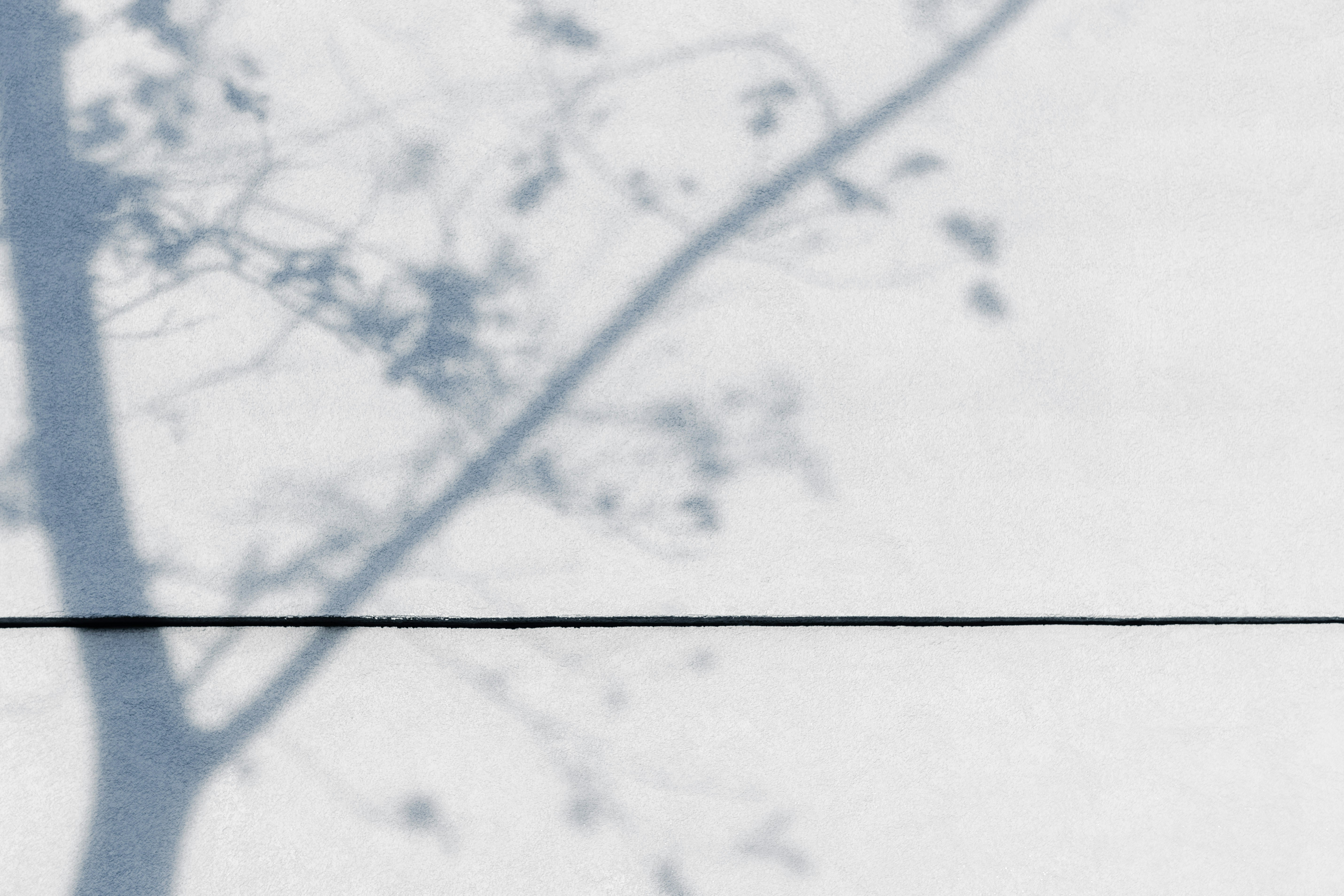 Photo by pawel_czerwinski