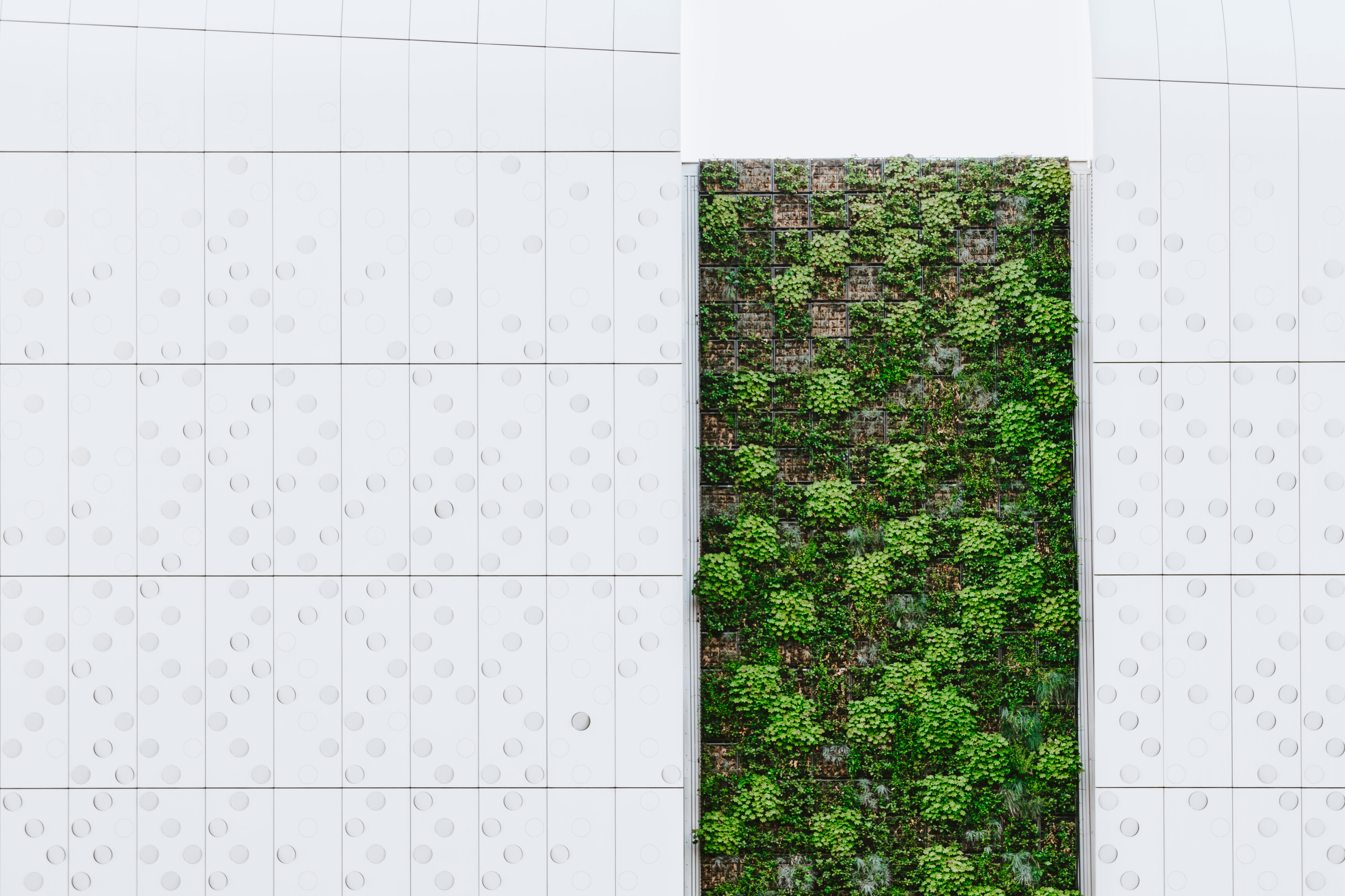 Photo by pawel_czerwinski