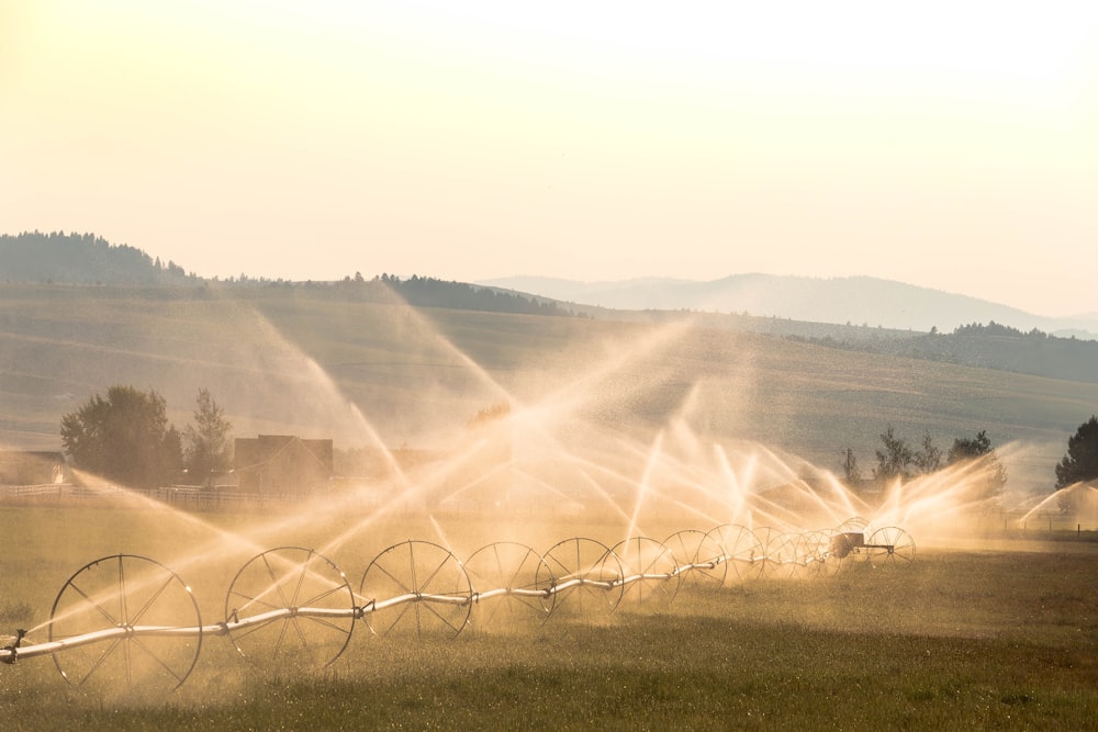 gray and black garden wheel sprayer during daytime