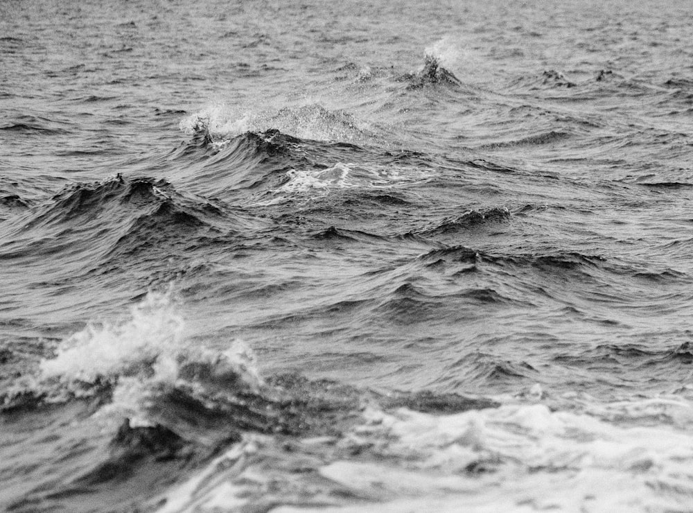 grayscale photography of body of water