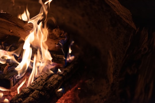 flame burning on wood in Warren Dunes State Park United States