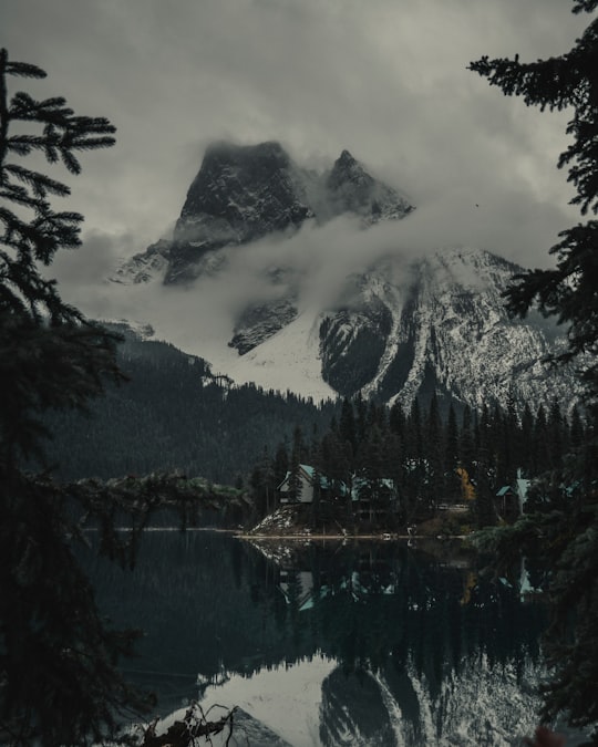 pine trees beside snow-covered mountain in Emerald Lake Canada