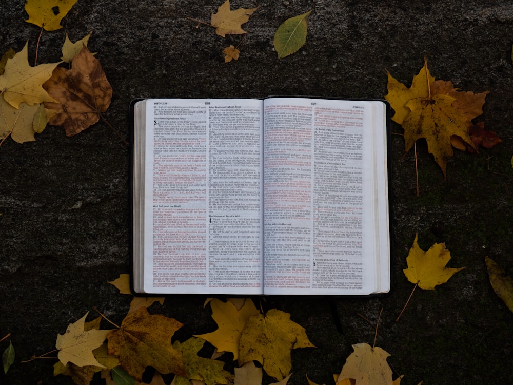 book on gray asphalt surface