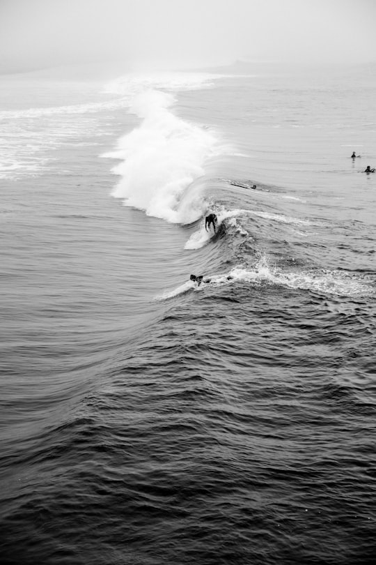 grayscale photography of men on surfboard in Manhattan Beach Pier United States