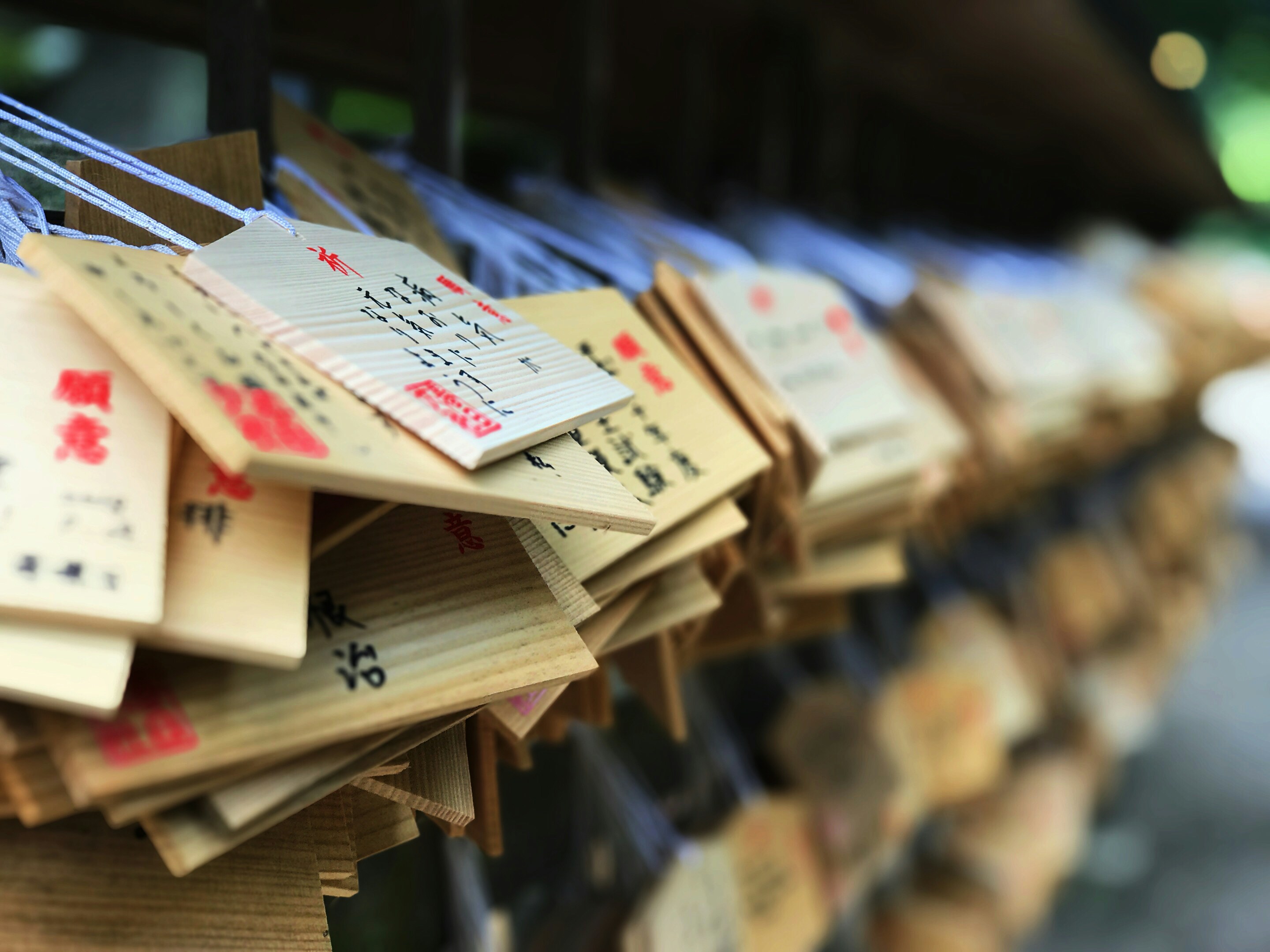 Photo by its_jacobli