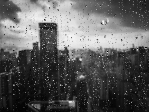 A black-and-white photograph of a mid-century noir cityscape at dusk, viewed through rain-speckled glass.
