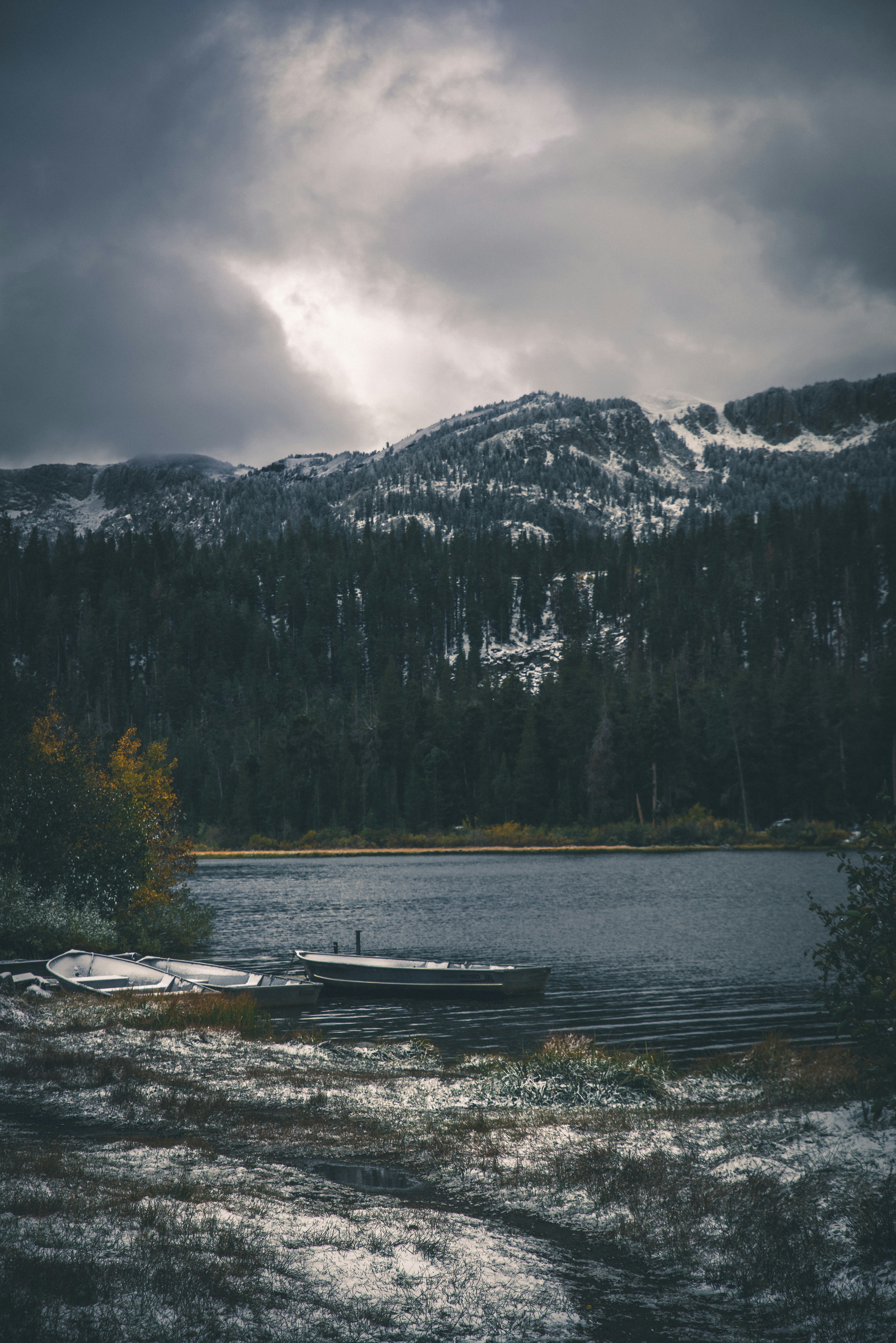 Photo by mischievous_penguins