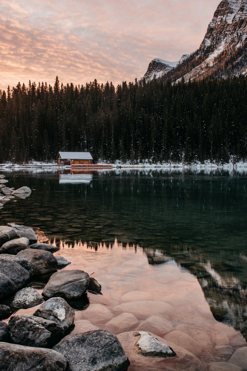 house near water under tree