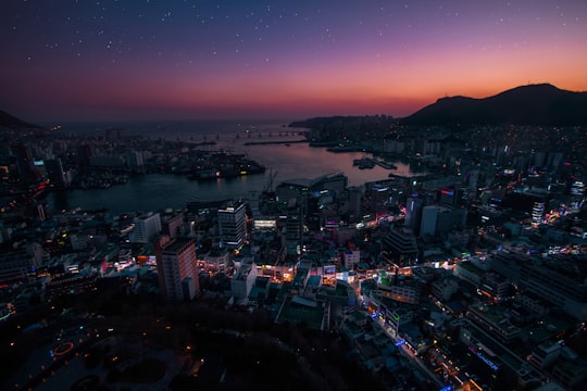 aerial photography of city buildings in Busan South Korea