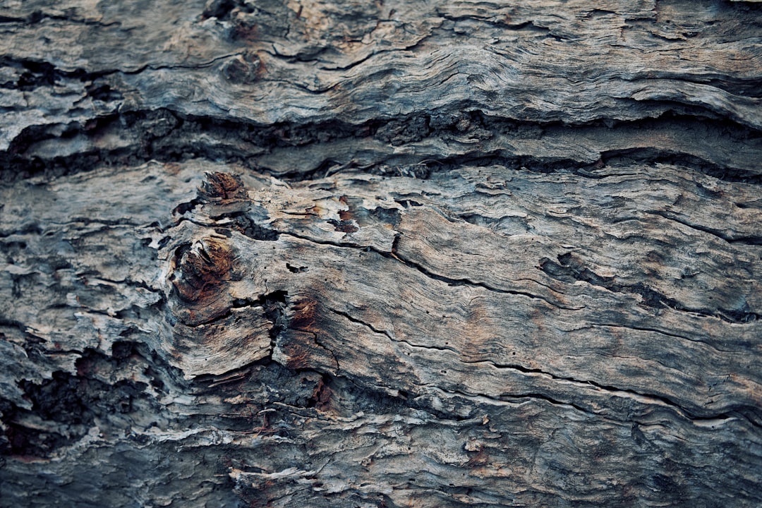 brown wooden surface