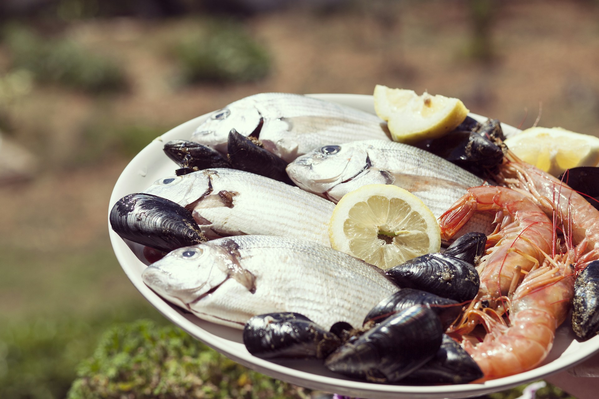 seafoods on round white plate during daytime