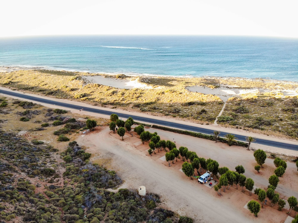 aerial photography of asphalt road near trees and shore during daytime