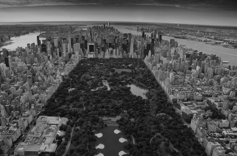grayscale photo of Central Park, New York