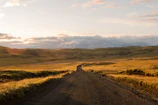 Wide shot of a dirt road leading through farmland with distant hills.
