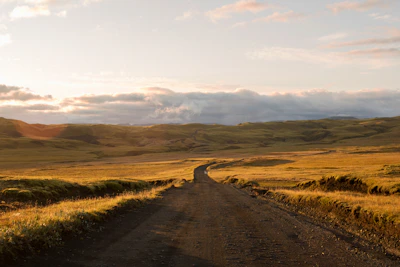 Wide shot of a dirt road leading through farmland with distant hills.