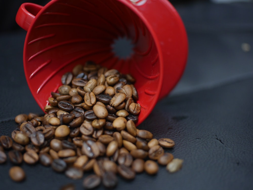 spilled coffee beans