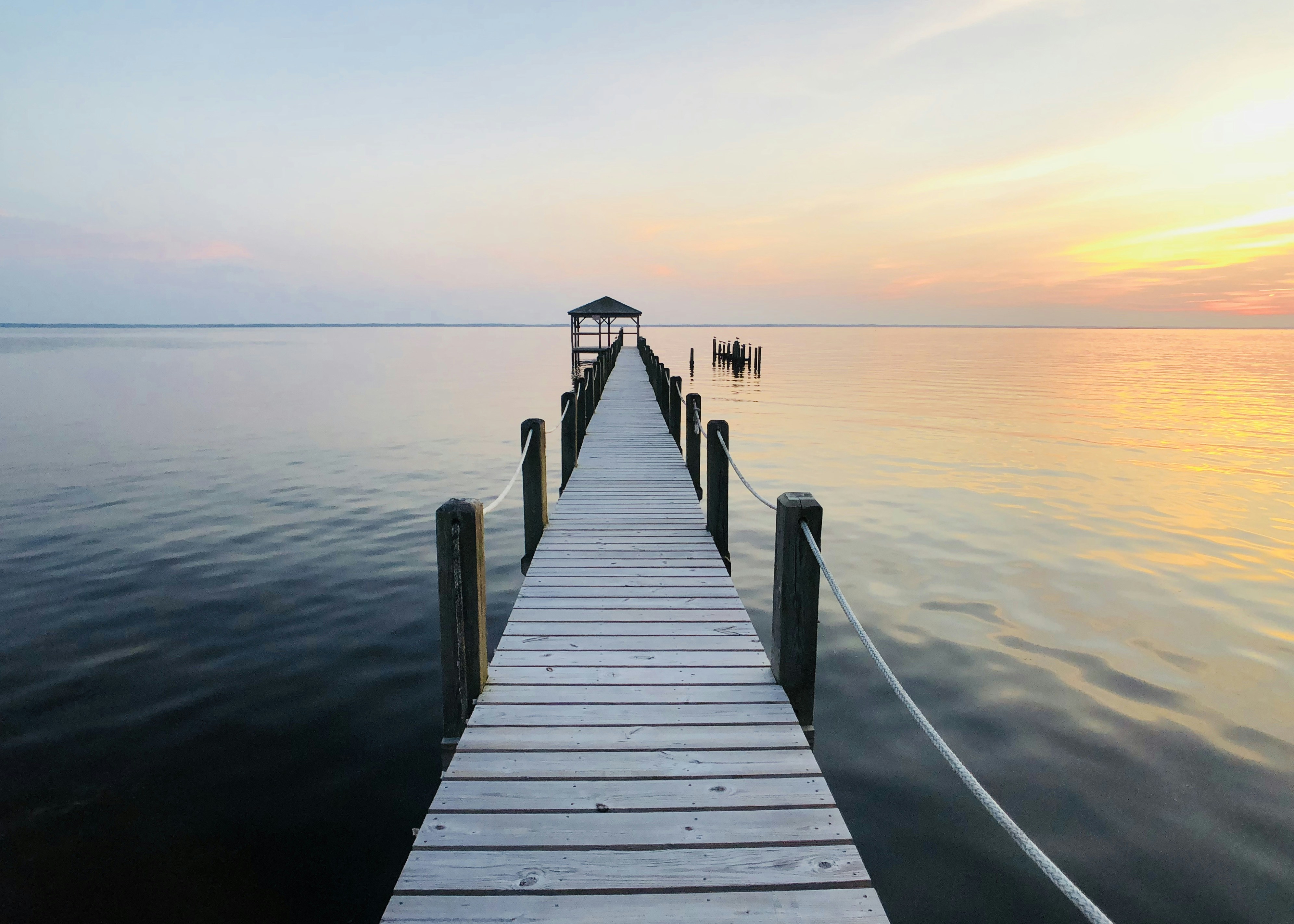 Photo by joyfantastic