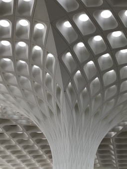 A modern architectural ceiling design featuring a series of geometric patterns and recessed lighting. The structure is composed of a grid-like pattern with curved, intersecting lines leading upwards.