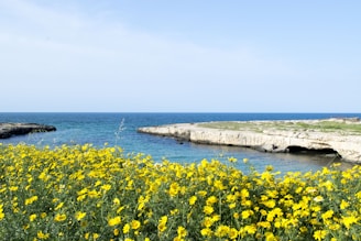 A stunning floral display with ocean waves in the background.