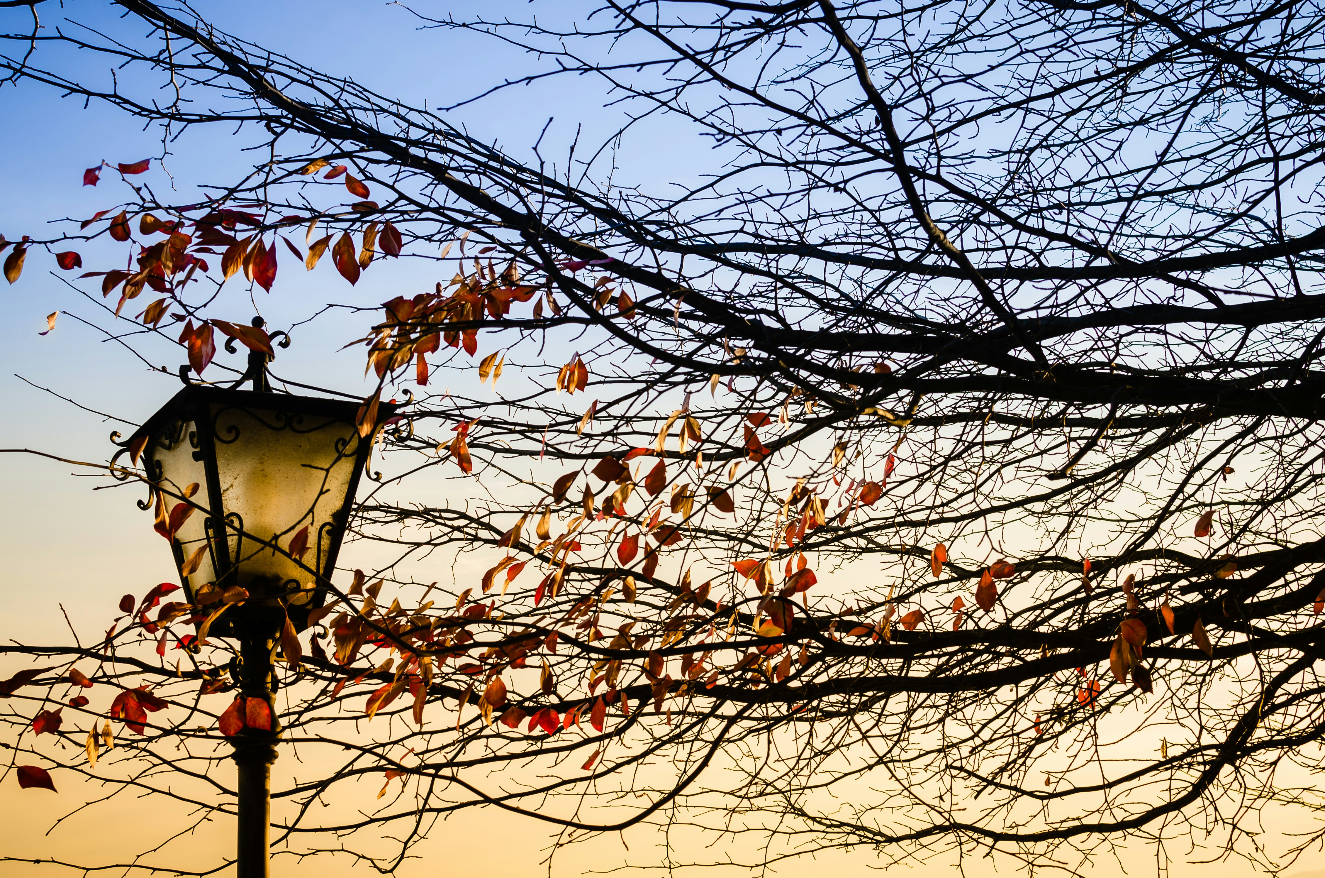 The moment I saw the colors of the susnet, the old style street lamp, and the autumn leaves, I felt immediately a romantic atmosphere I had to capture with my gear.