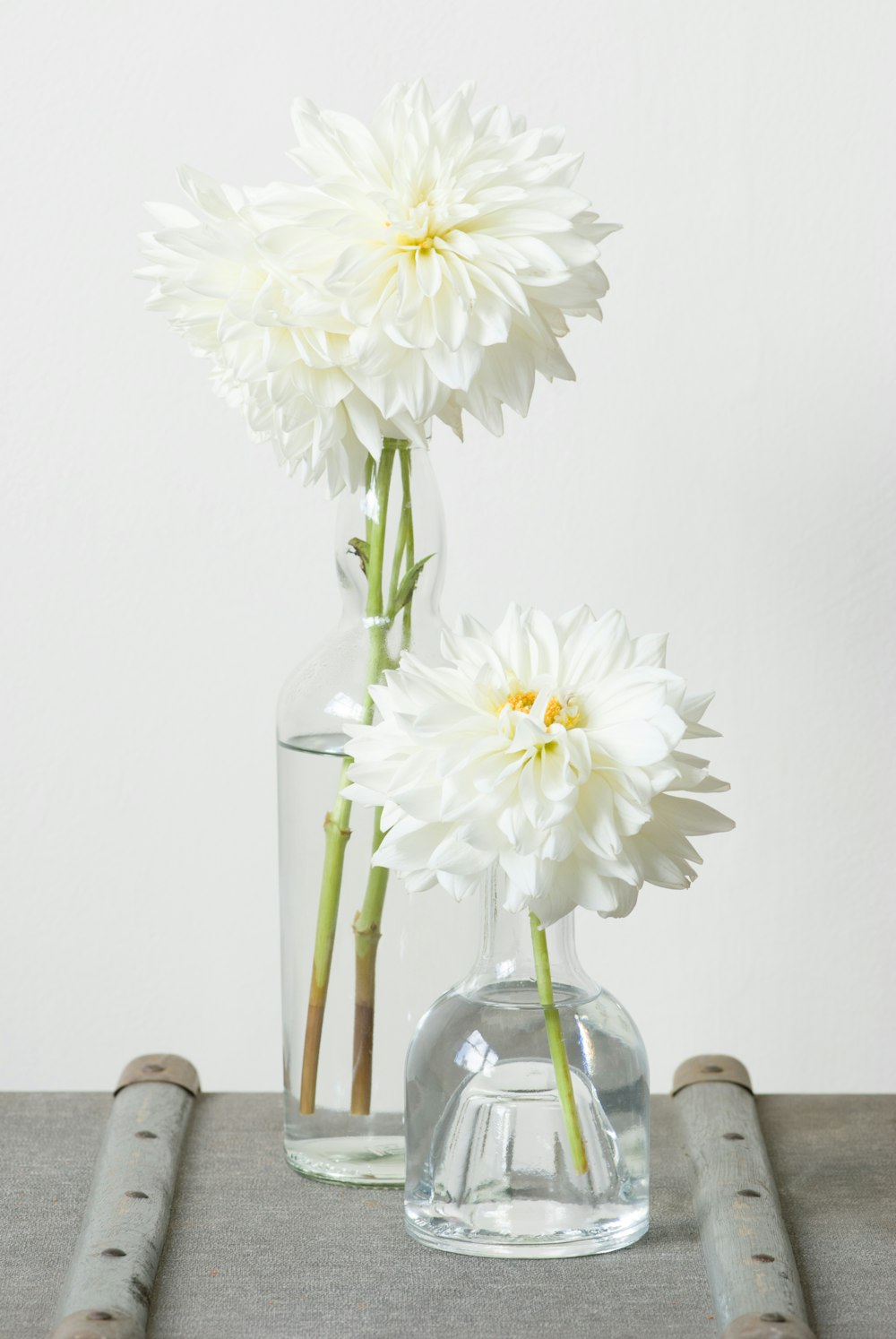 dos flores de pétalos blancos