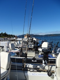 A row of fishing boats equipped with multiple fishing rods and tackle are docked by the water. The scene is set against a backdrop of clear blue skies and distant mountains. The water appears calm, reflecting the serene weather conditions.