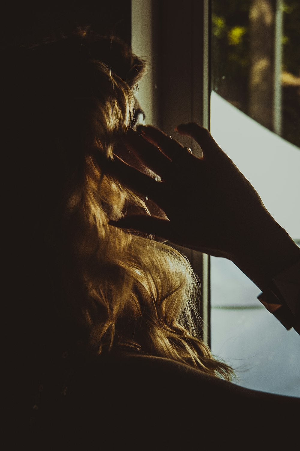 woman looking in front of glass window