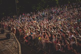 A crowd of people enjoying an outdoor event with security personnel visible.
