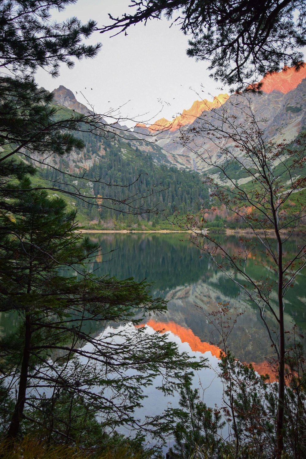 Vista del lago dalla foresta durante il giorno