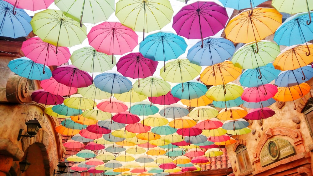 assorted-color umbrellas