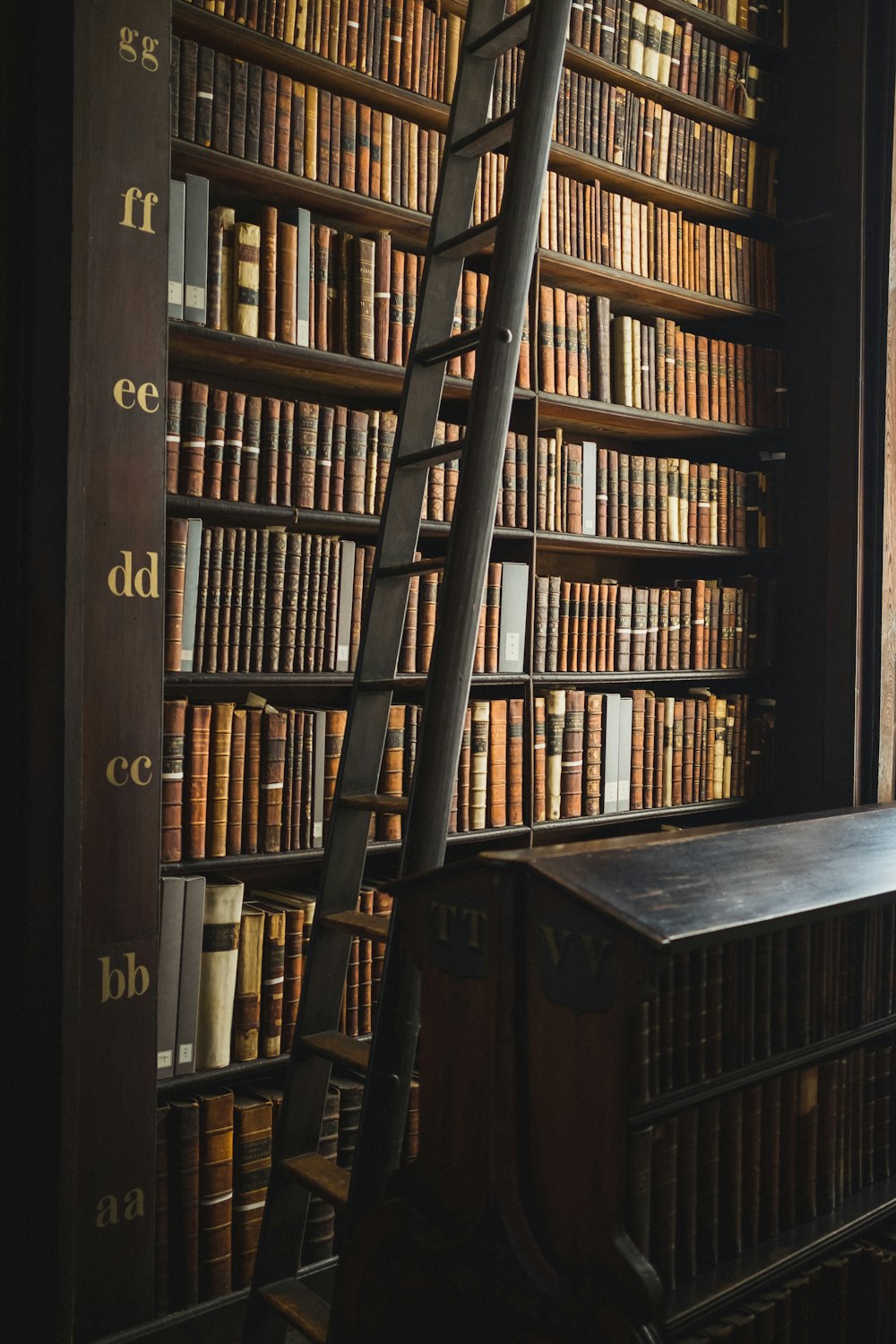 ladder beside bookcase with books