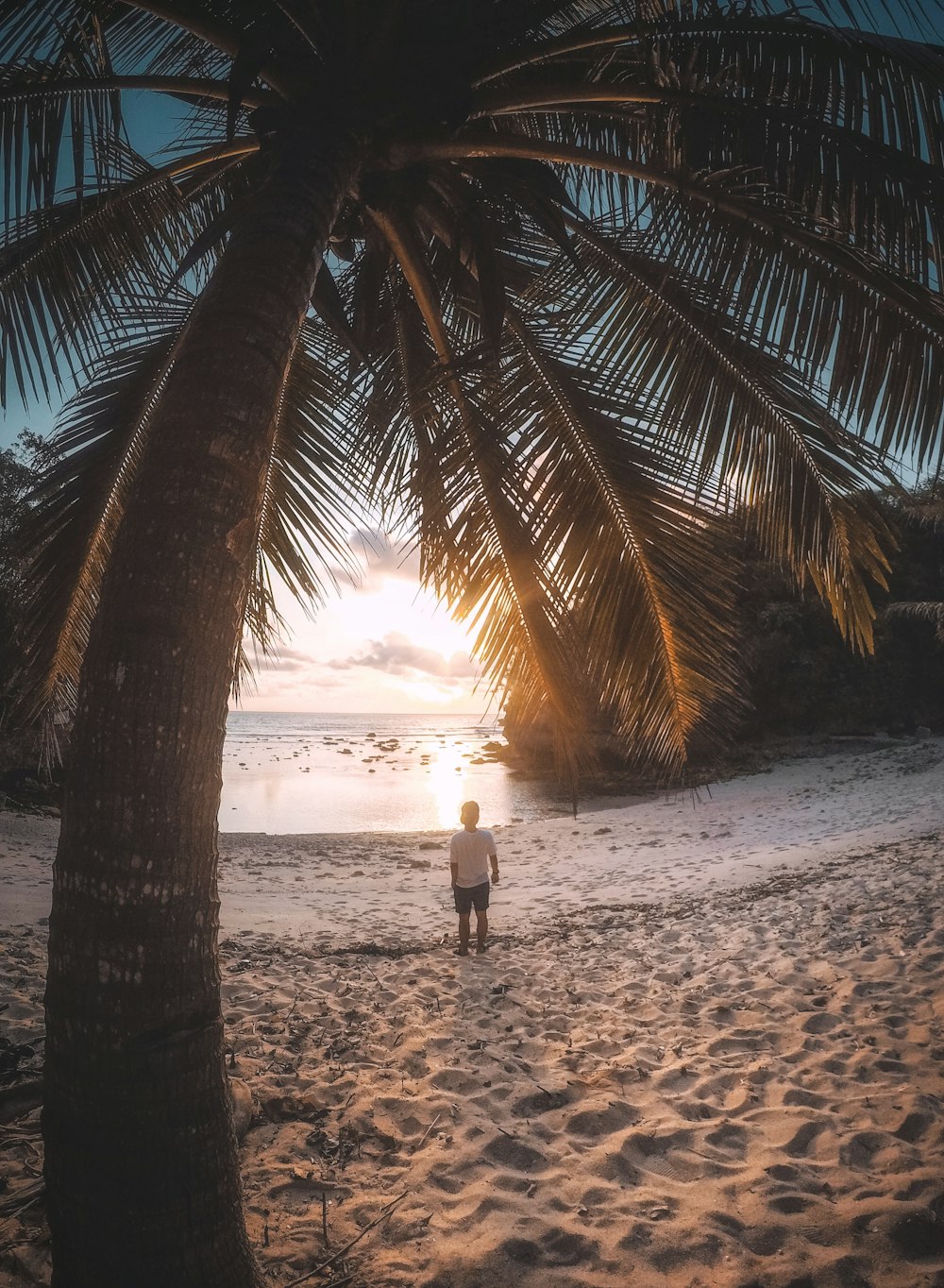 man standing on beach near palm treses