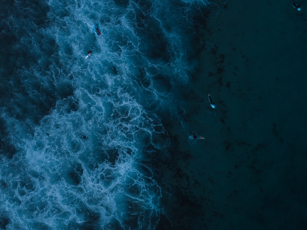 person swimming on the sea