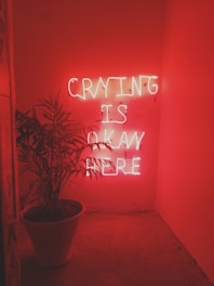 A neon sign in a dimly lit room, emitting a red glow, displays the words 'CRYING IS OKAY HERE'. A potted plant with lush green leaves is placed beside the sign, creating a contrast against the red background.