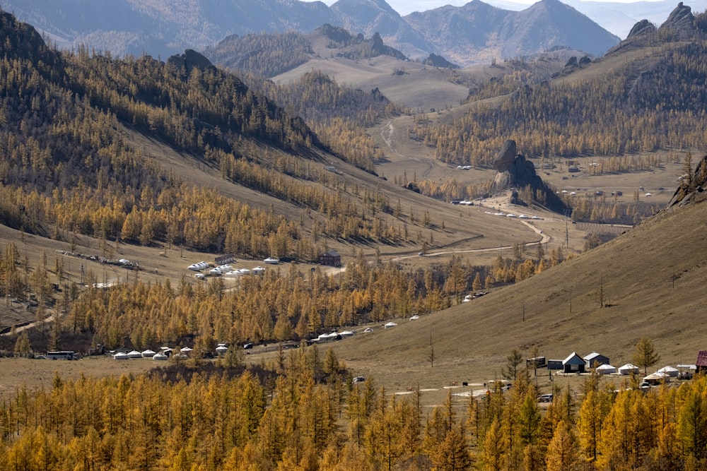 aerial photography of trees with mountains during daytime