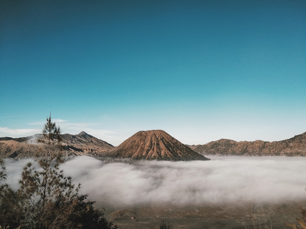 hill covered in white fog