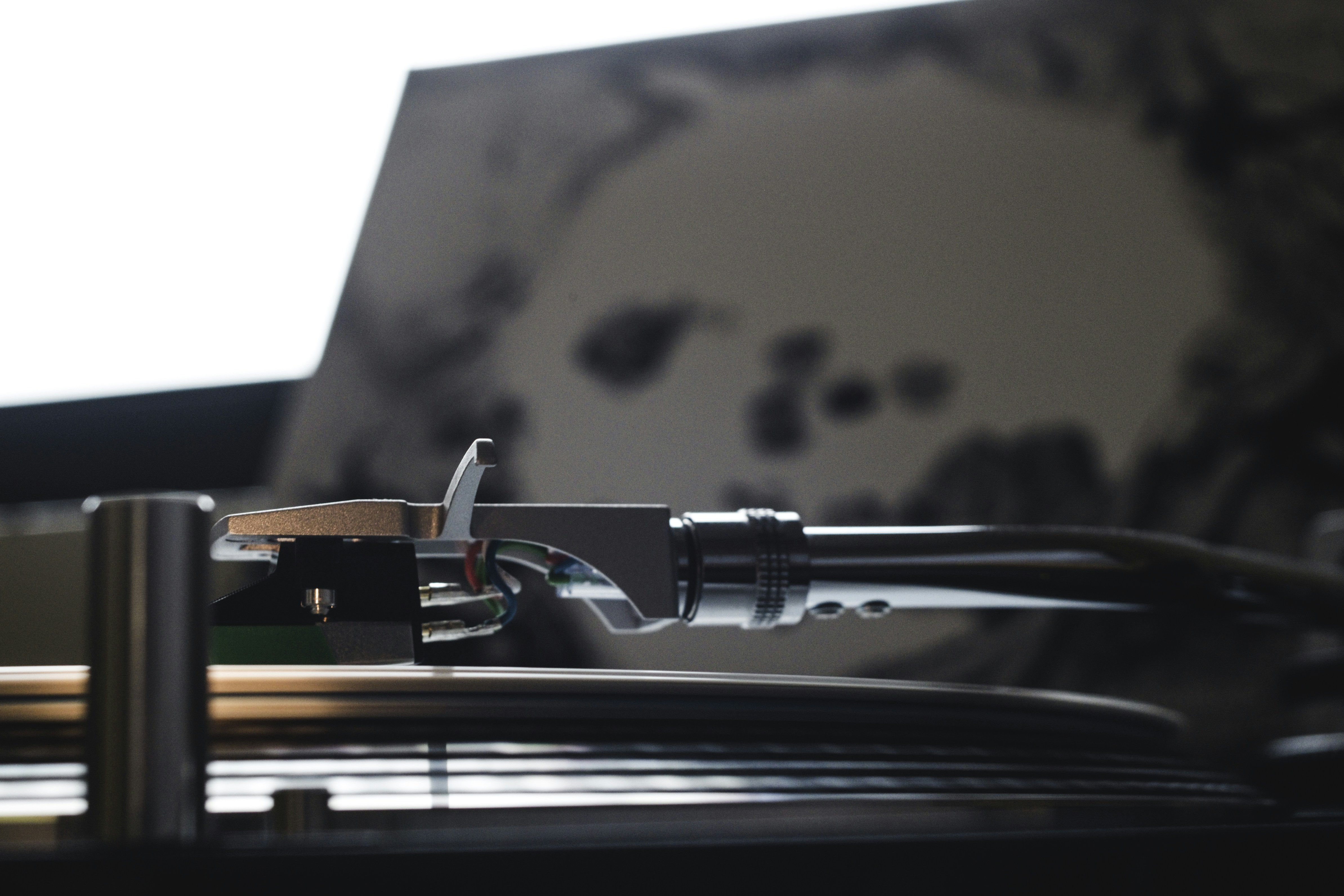 Photo by skylargereld