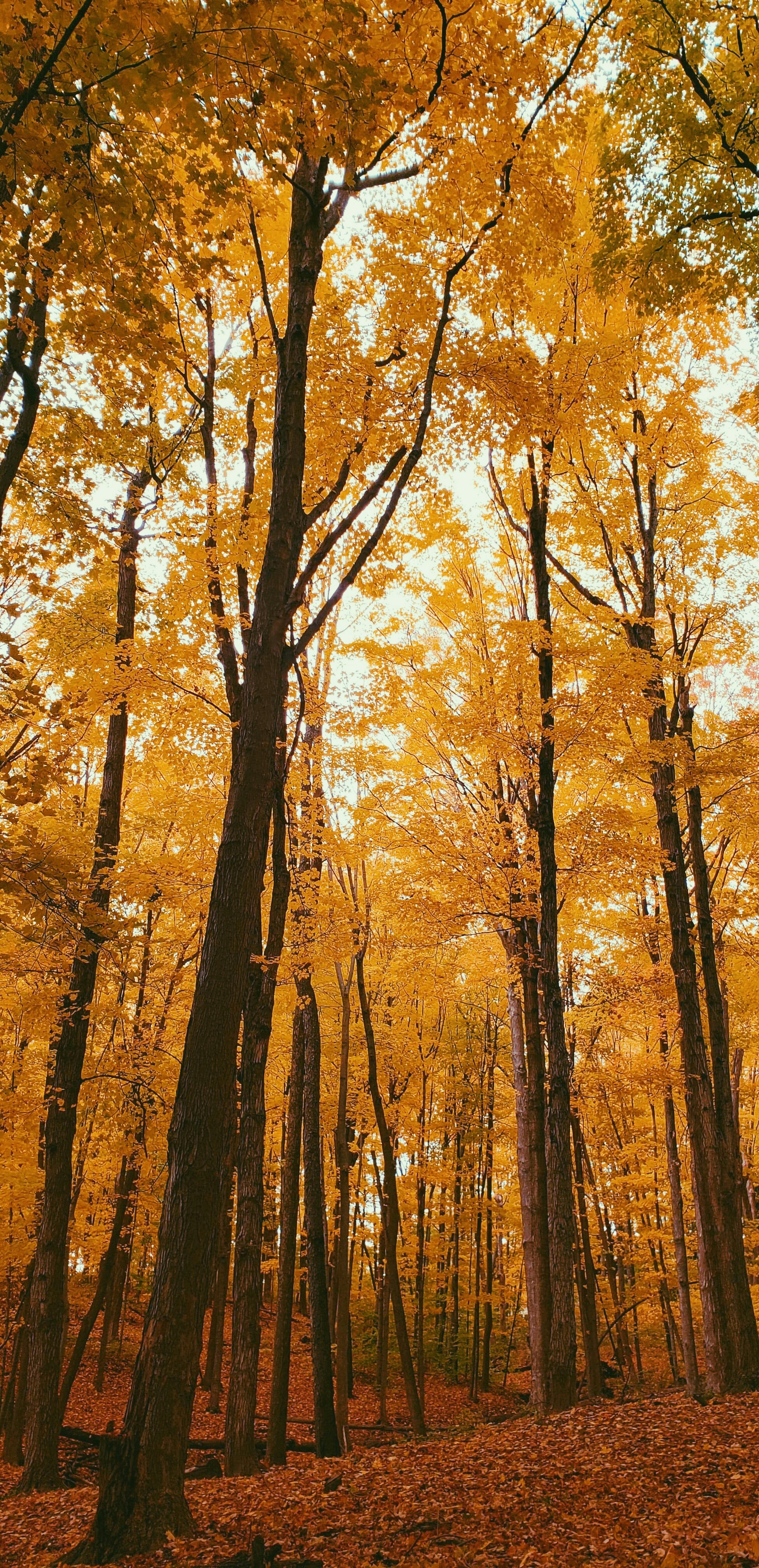 Photo by daniellealanah