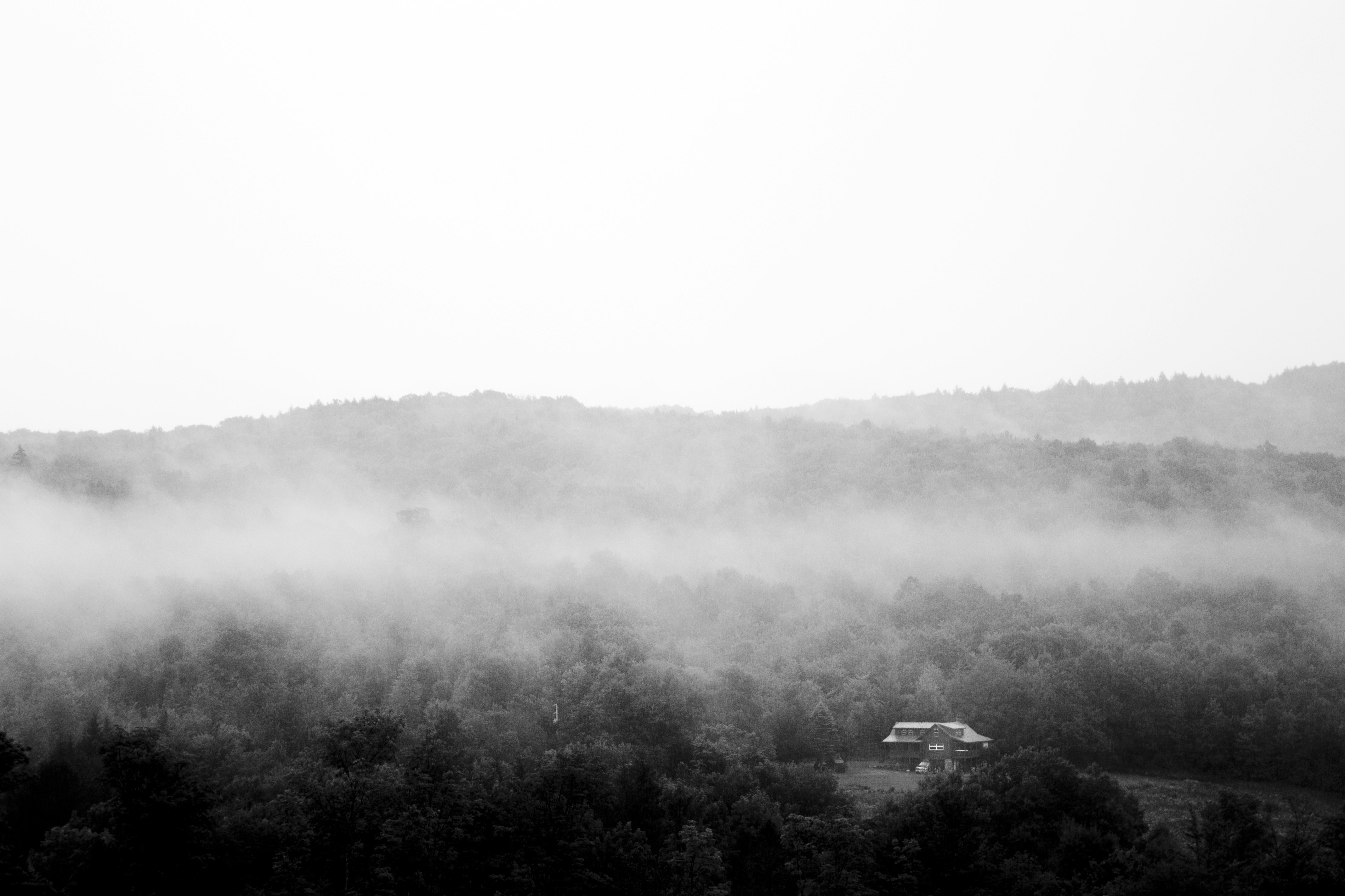 Photo by corymerchant