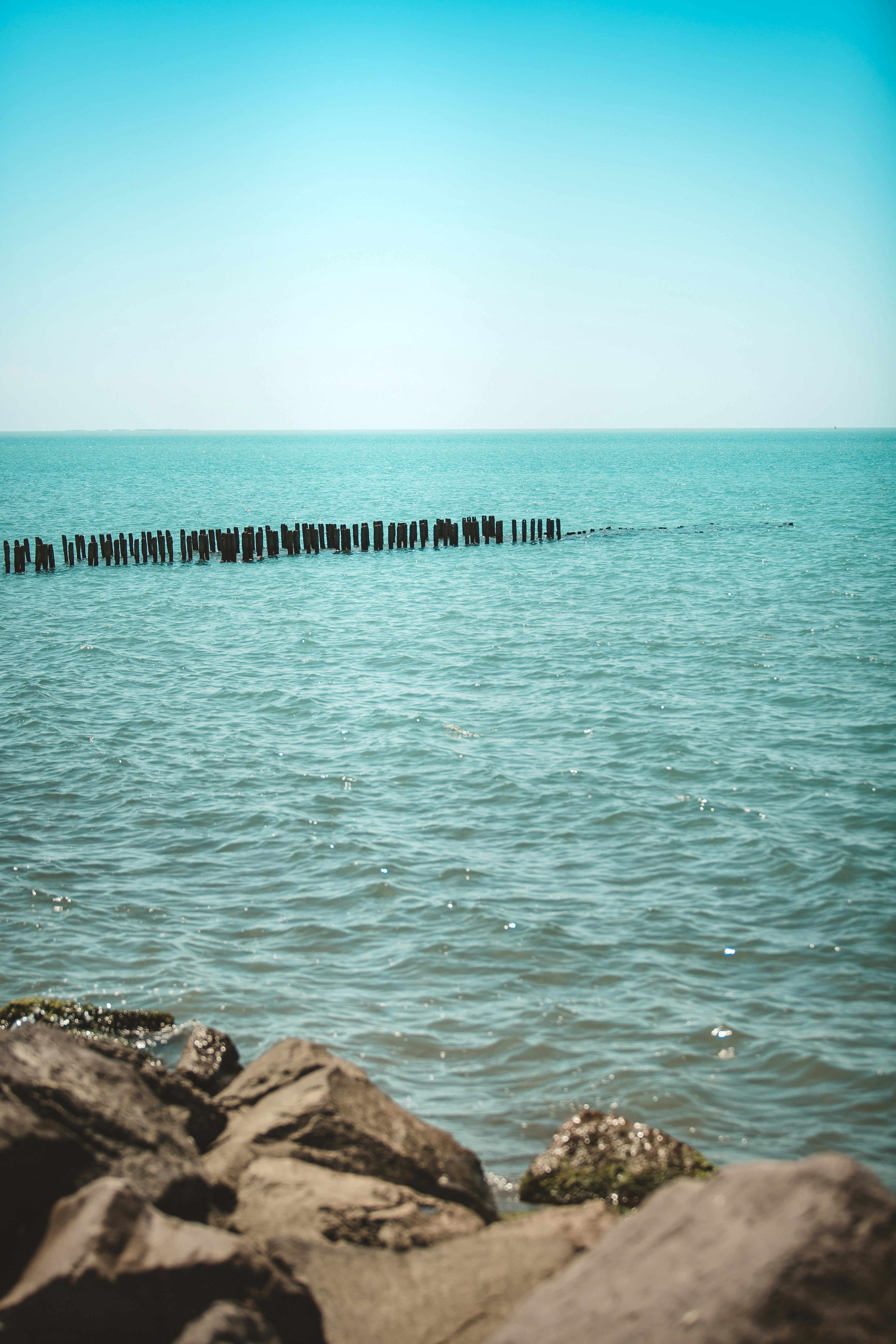 Photo by marekssteins