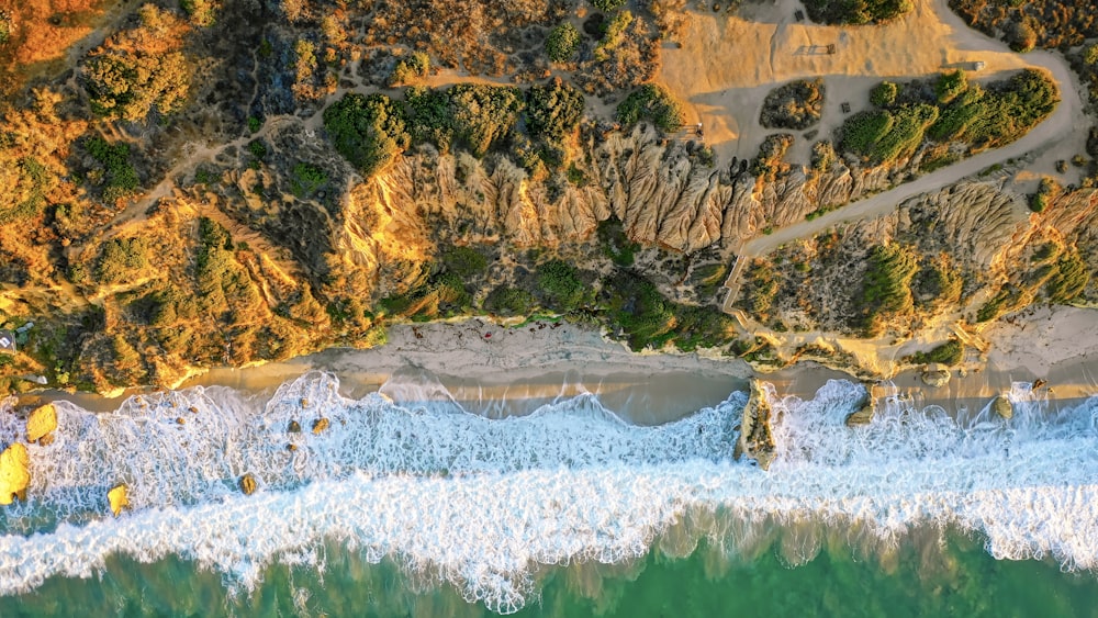 aerial photo of seashore during daytime