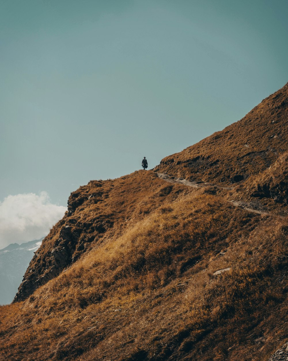 person standing on brown mountain