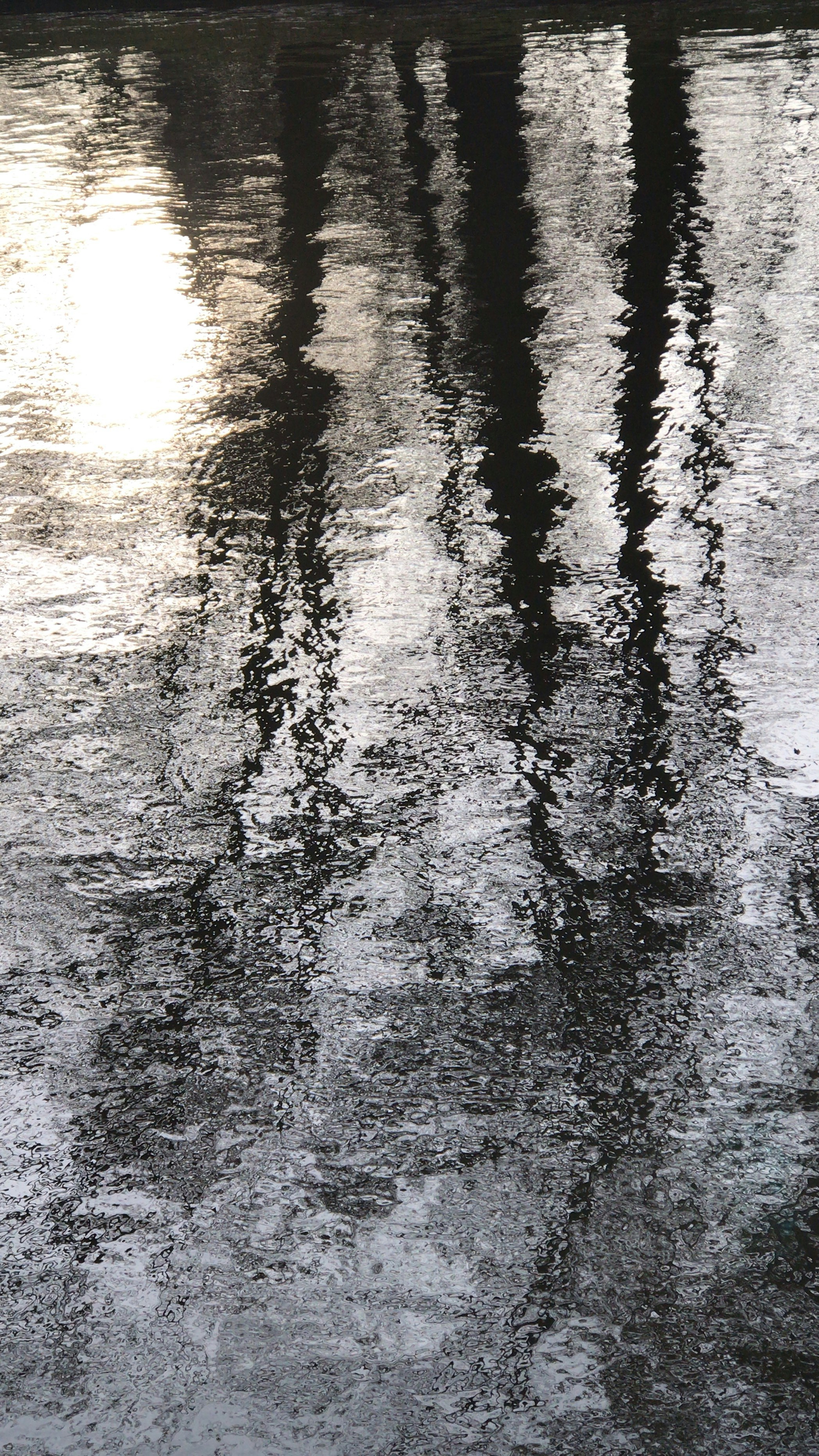 Lessons from a Week of Silent Reflection