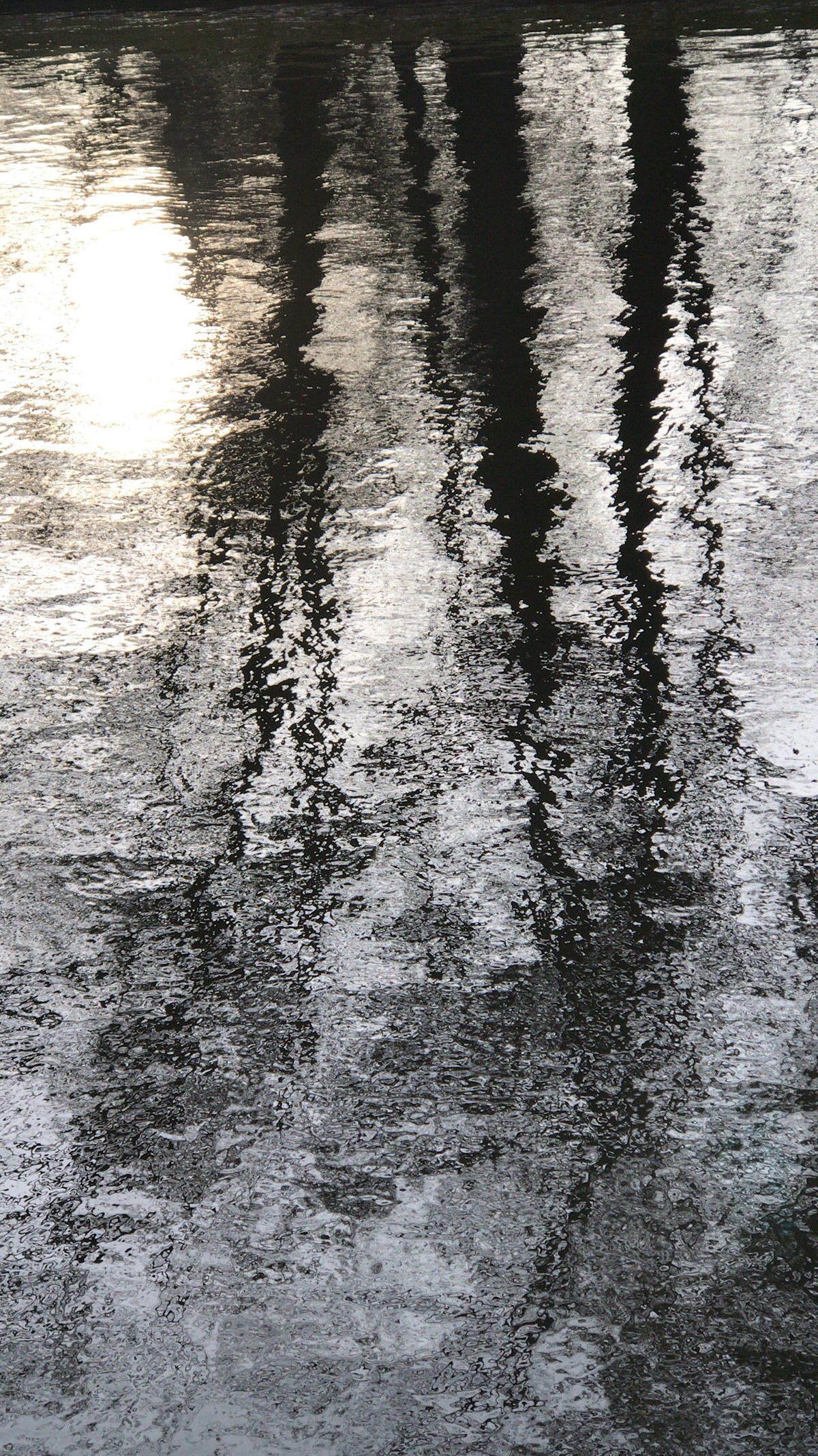 Lessons from a Week of Silent Reflection