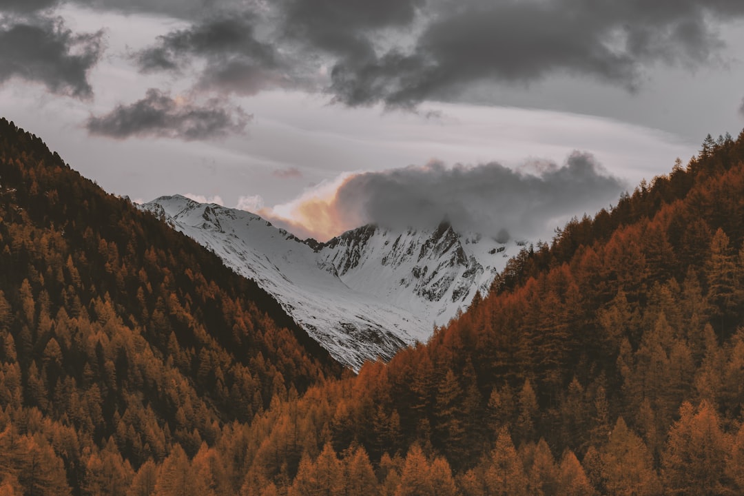 white and brown mountains