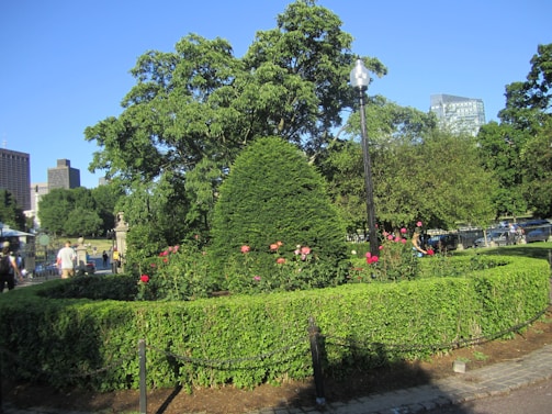 A well-maintained park area features a neatly trimmed circular hedge with colorful roses in bloom. A tall lamppost stands prominently in the center, surrounded by lush green trees. Beyond the park, modern buildings are visible against the clear blue sky, while a pathway leads through the scene.