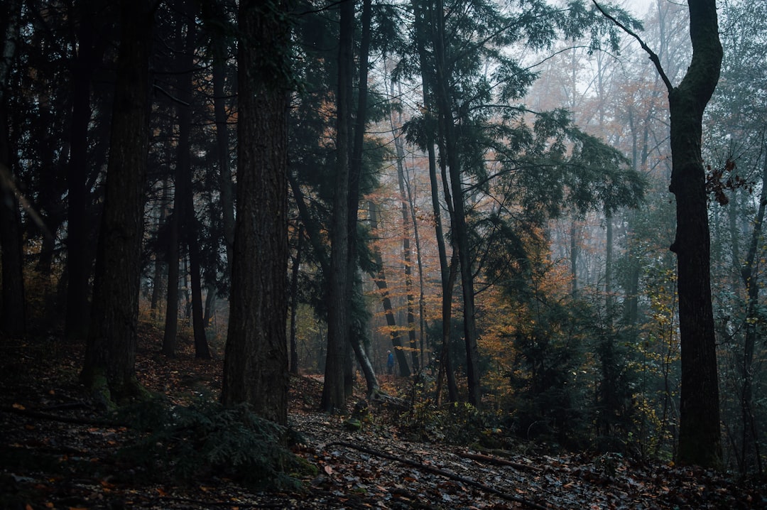 Natural landscape photo spot Tivoli Ljubljana