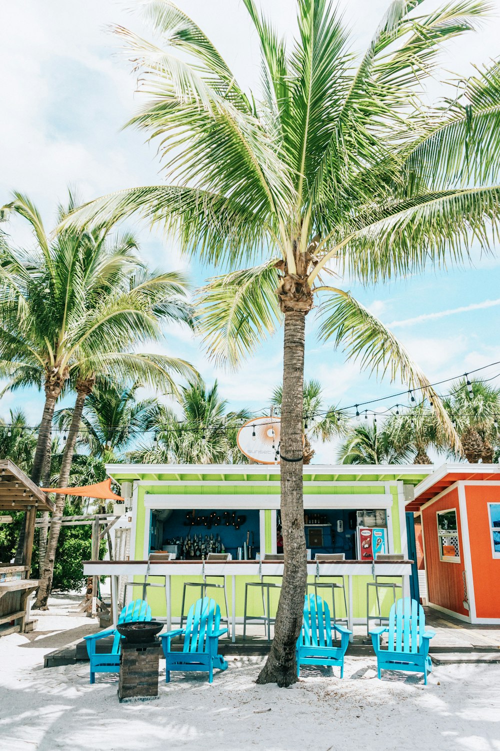 two green coconut trees beside white and green stall