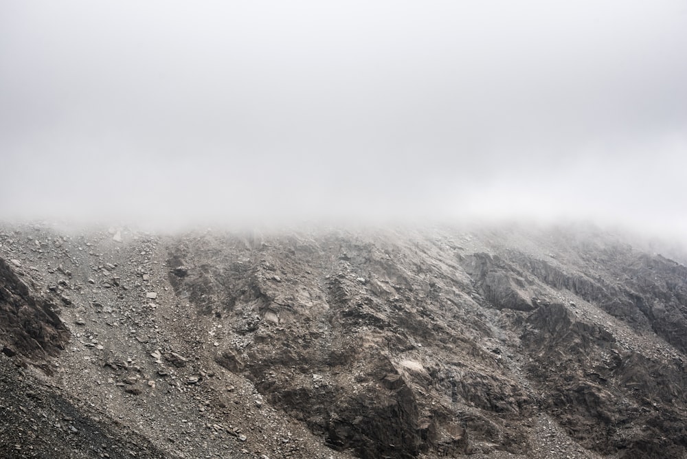 hill covered in fog